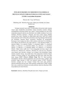 Rhizobium thesis 07 image